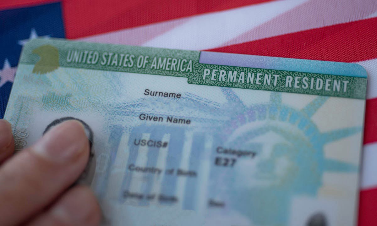 united states permanent resident permit card for sale | buy green card