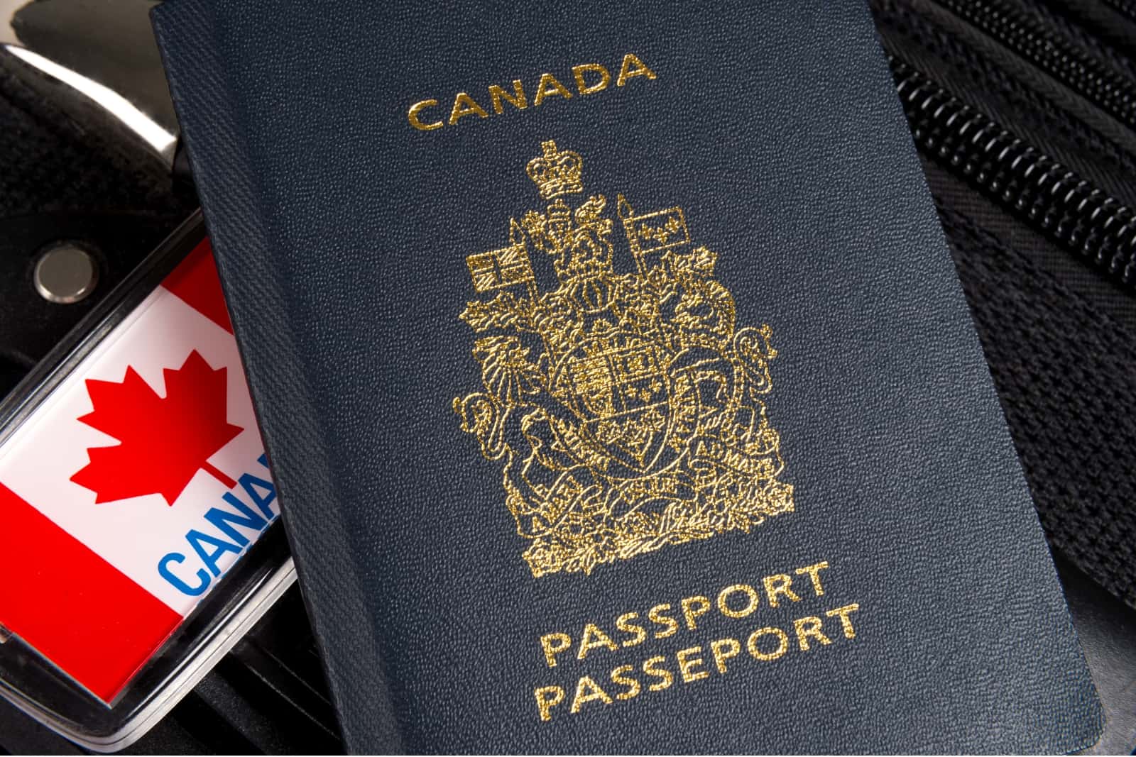 buy real fake novelty passport