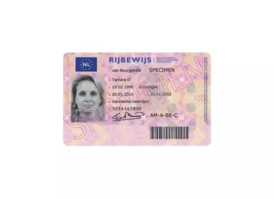 Order DUTCH DRIVER’S LICENSE | Real Fake Document